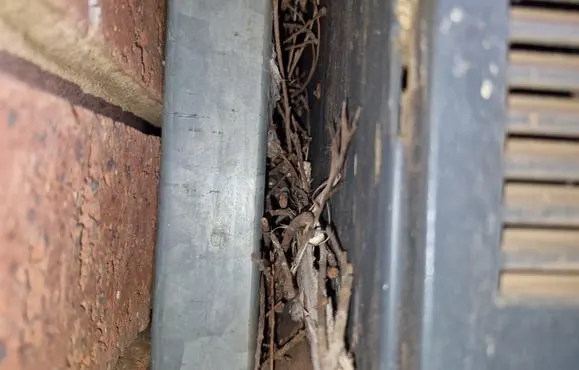 Close view of the same finding — dry vegetation packed into the gap between the enclosure and the wall, against the ventilation louvres.