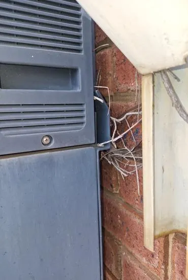 Inspection finding: root and stem growth forced in behind a wall-mounted meter enclosure, lifting it off the brickwork.